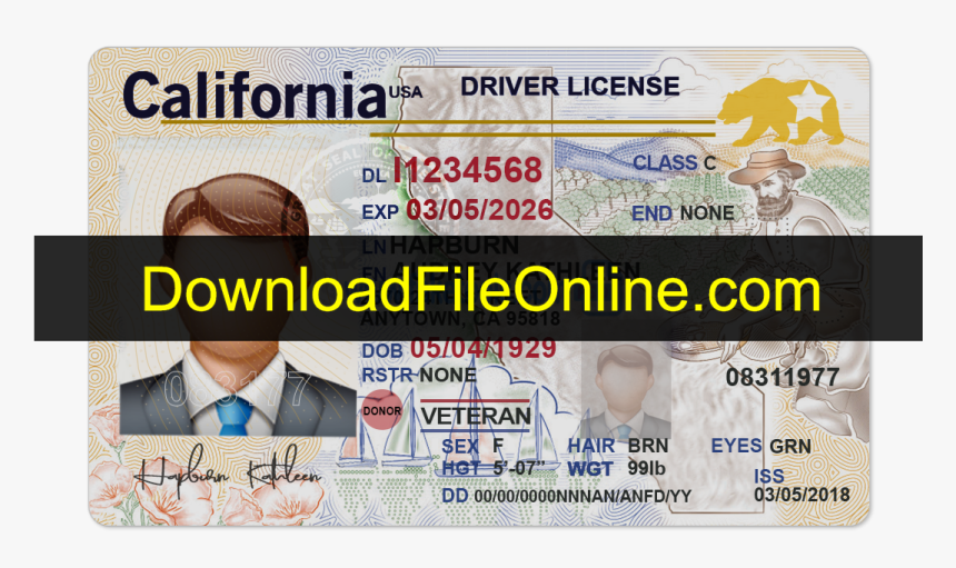 California drivers license blank templates